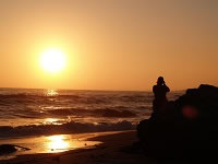 Beach sunset