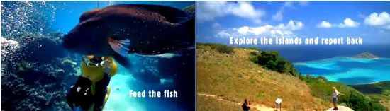 Best Job in the World - Feed Fish