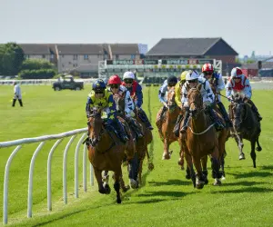 Several jockeys and their horses sprinting down a racetrack