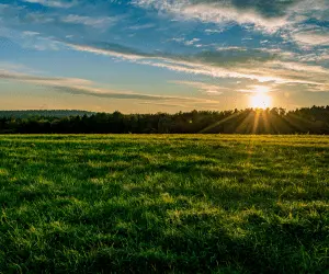 A large green field on a bright sunny day