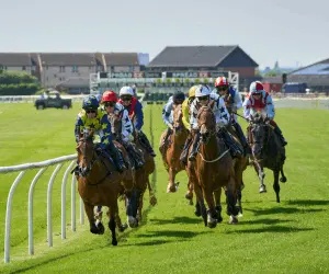 A group of horses and jockeys racing on green grass on a bright sunny day