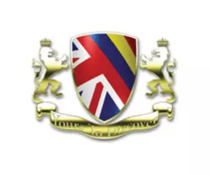 DAD International Romania logo
