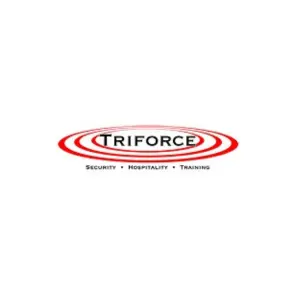 Triforce logo